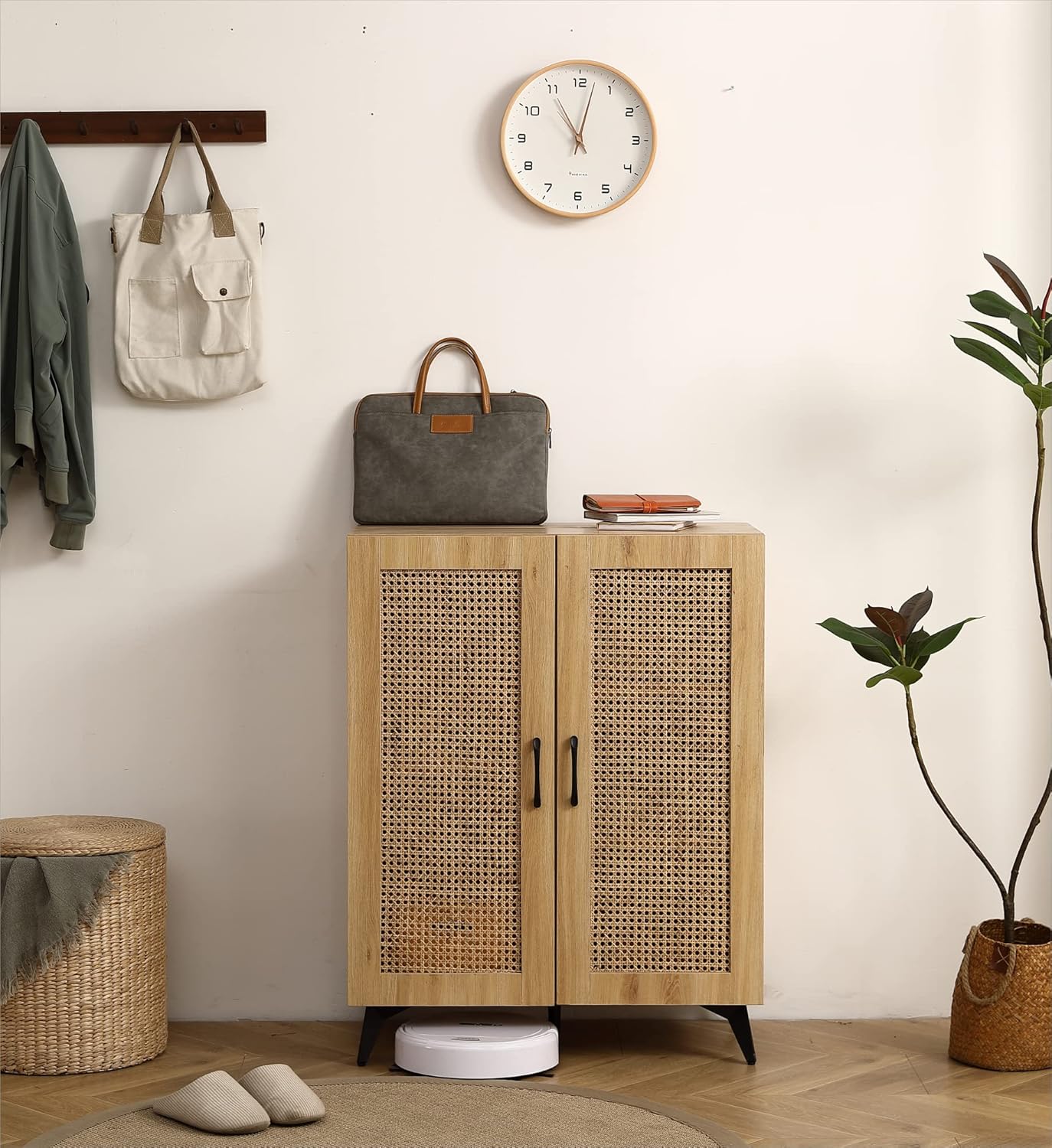Citijan Sheesham Wood Shoe Cabinet, Mango Wood Shoe Rank For Living Room Furniture